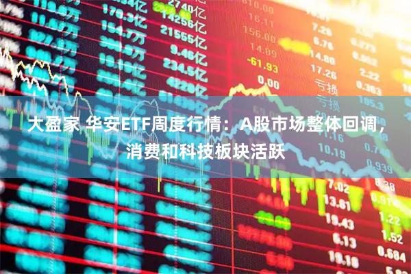 大盈家 华安ETF周度行情：A股市场整体回调，消费和科技板块活跃