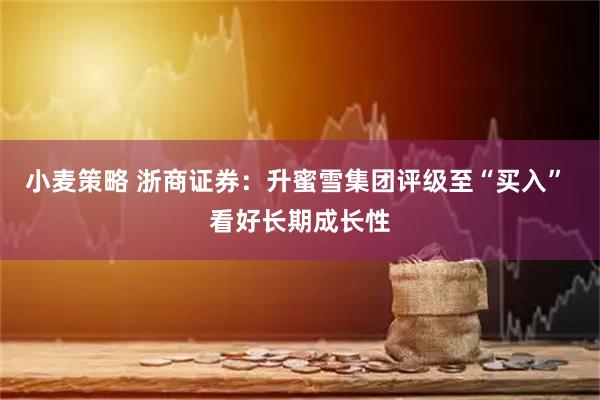 小麦策略 浙商证券：升蜜雪集团评级至“买入” 看好长期成长性