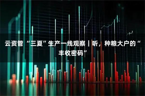 云资管 “三夏”生产一线观察｜听，种粮大户的“丰收密码”