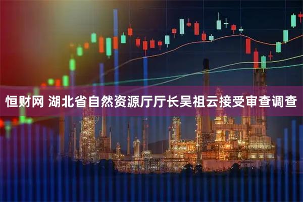 恒财网 湖北省自然资源厅厅长吴祖云接受审查调查