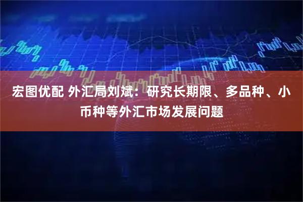 宏图优配 外汇局刘斌：研究长期限、多品种、小币种等外汇市场发展问题