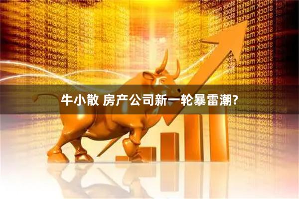 牛小散 房产公司新一轮暴雷潮?