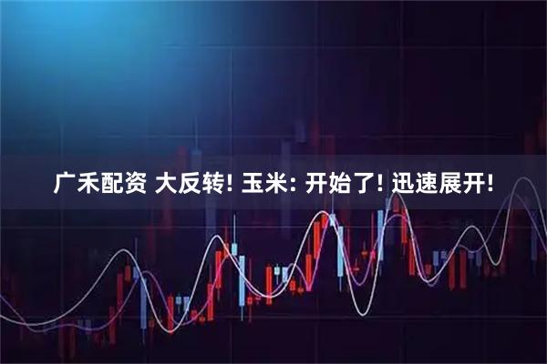 广禾配资 大反转! 玉米: 开始了! 迅速展开!