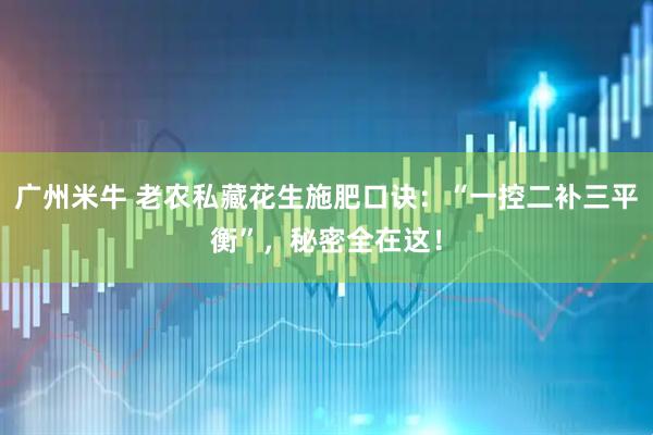 广州米牛 老农私藏花生施肥口诀：“一控二补三平衡”，秘密全在这！