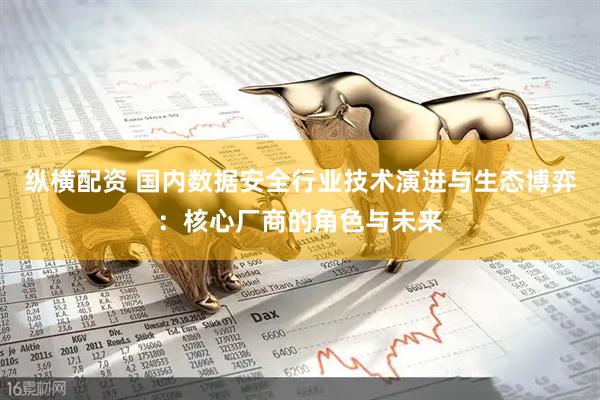 纵横配资 国内数据安全行业技术演进与生态博弈：核心厂商的角色与未来