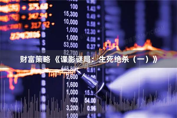 财富策略 《谍影谜局：生死绝杀（一）》
