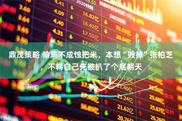 鼎茂策略 偷鸡不成蚀把米，本想“毁掉”张柏芝，不料自己先被扒了个底朝天