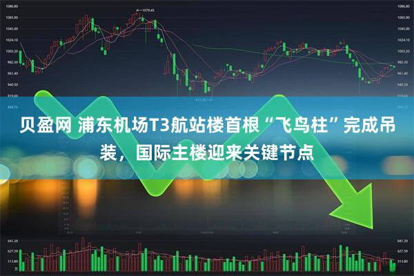 贝盈网 浦东机场T3航站楼首根“飞鸟柱”完成吊装，国际主楼迎来关键节点